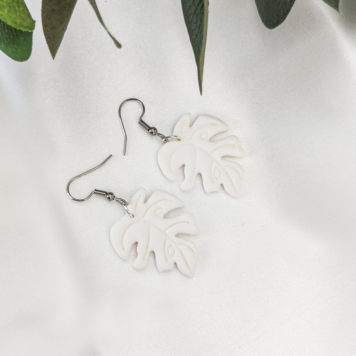 Monstera