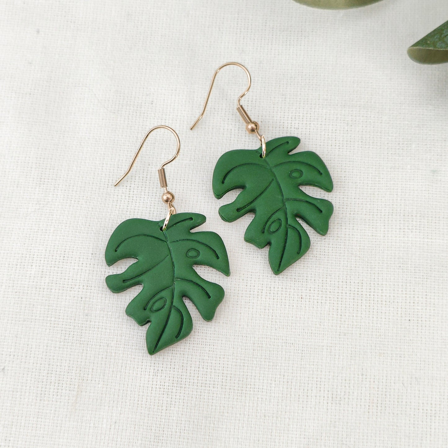 Monstera