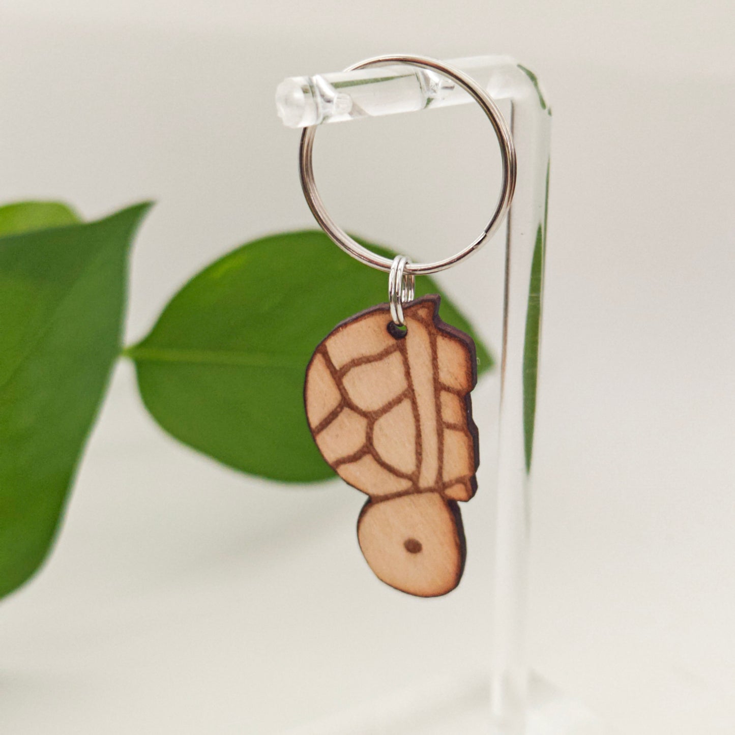 Kilpikonna avaimenperä