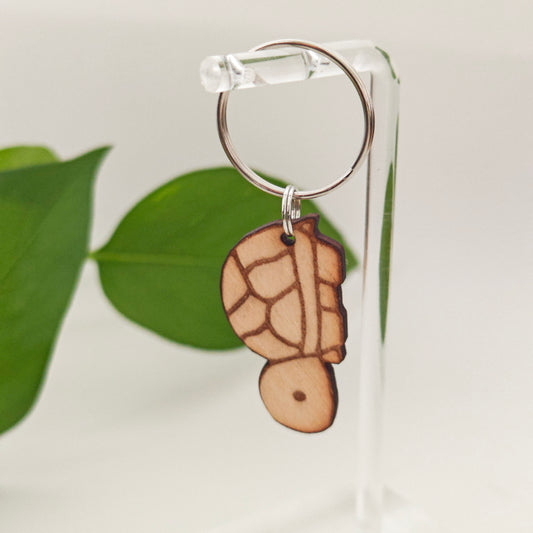 Kilpikonna avaimenperä