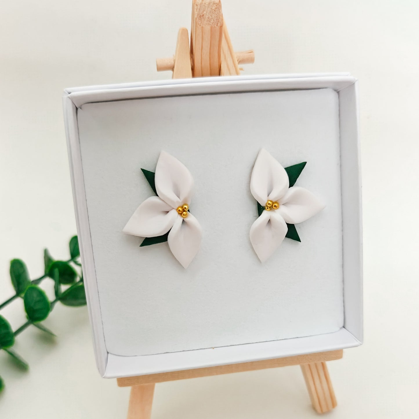 Valkoinen Poinsettia