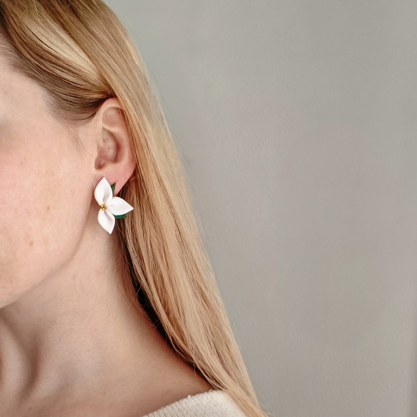 Valkoinen Poinsettia