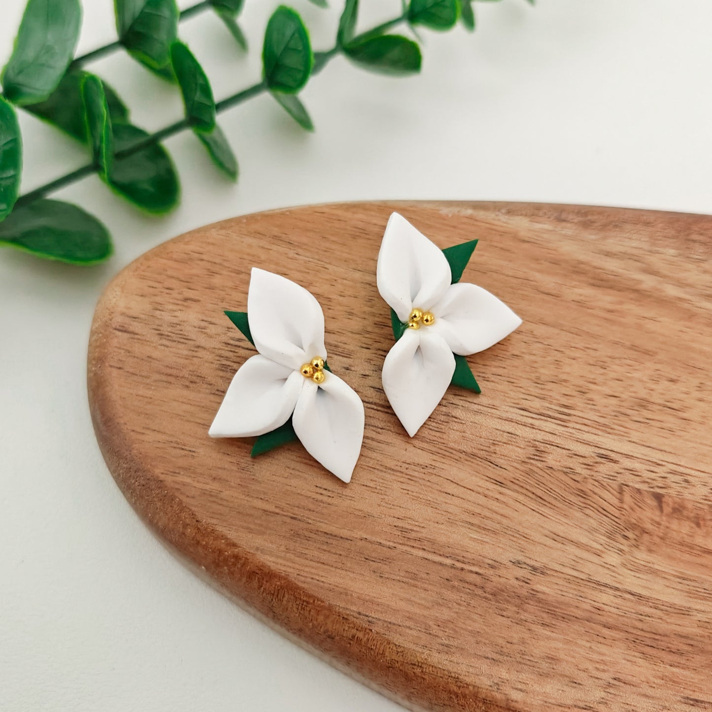 Valkoinen Poinsettia