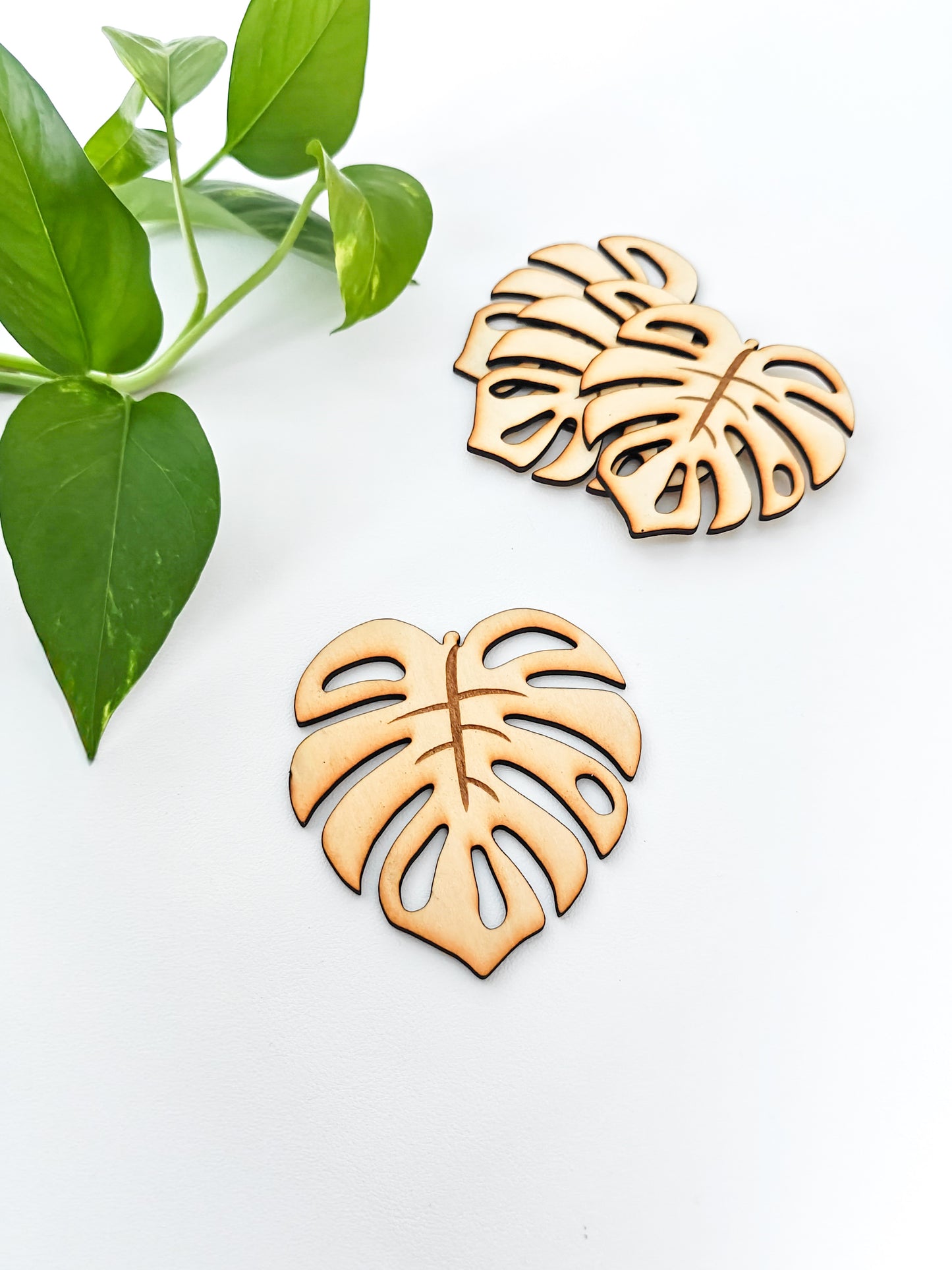 Peikonlehti lasinaluset