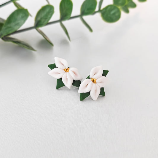 Pieni Valkoinen Poinsettia