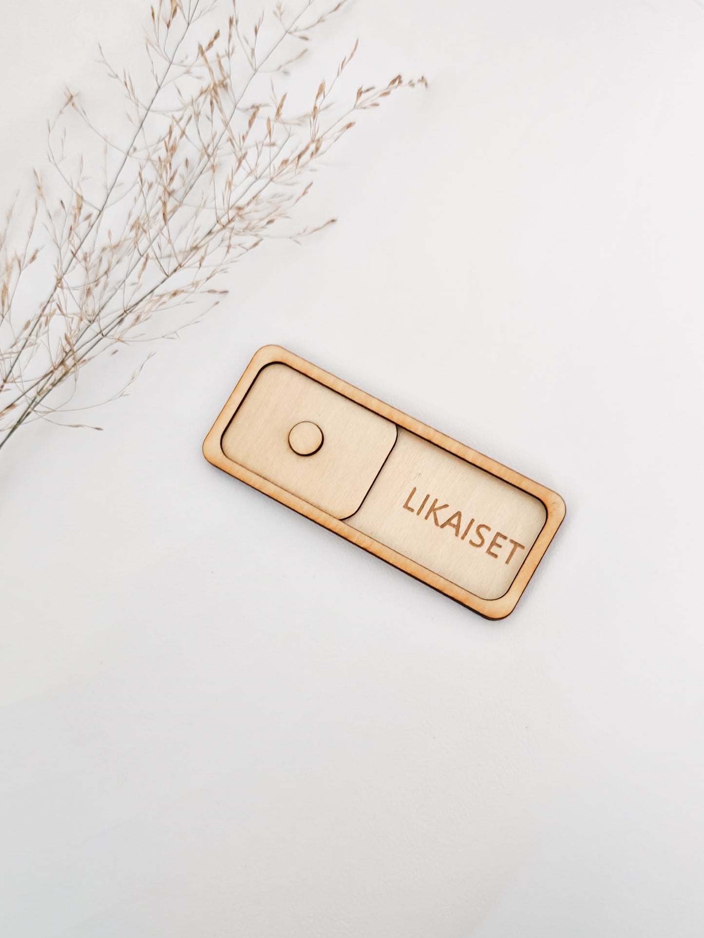 Puhtaat/likaiset magneetti