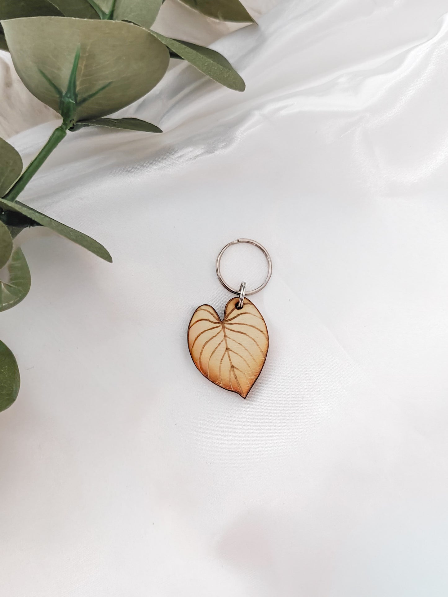 Philodendron avaimenperä